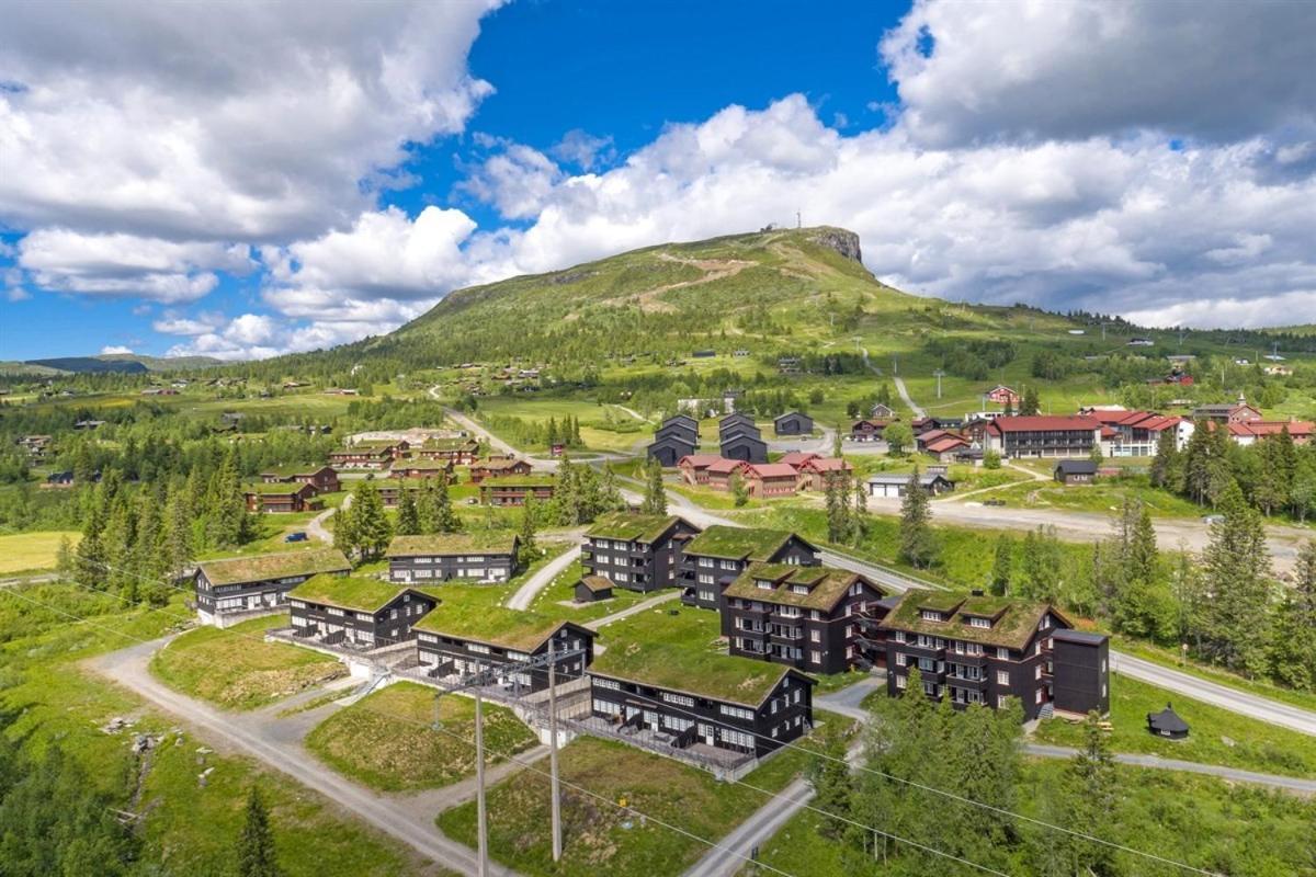 Skeikampen Leilighet, Veslesetervegen 973 F Apartment Svingvoll Exterior photo